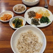 등촌역 근처 한식 맛집 예닮맛고을 가성비 점심 보리밥 정식 내돈내산 후기