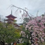 교토 벚꽃여행 (4일차 난젠지, 청수사)