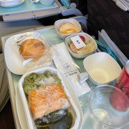 [신혼여행] 약 2주간의 유럽 신혼여행 시작, 대한항공KE937(인천-비엔나) 이용, 스페셜밀(해산물식) 후기