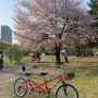 [서울영등포] 여의도 한강공원에서 돗자리, 2인용 자전거 빌려서 힐링하기
