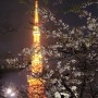 도쿄(東京)의 야경 - 벚꽃과 어우러진 도쿄타워 - 시바공원 - 일본여행
