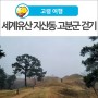 [고령 여행] 유네스코 세계유산으로 등재된 '지산동 고분군' 걷기