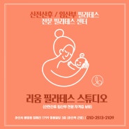 산전산후 임산부 필라테스전문 ㅣ임산부도 운동이 필요하다 | 천안 아산필라테스