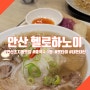 안산 초지동 맛집 쌀국수와 팟타이가 맛있는 헬로 하노이