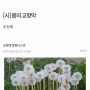 외교신문 [시] 봄의 교향악/ 조정애 2024.4.17