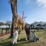 [전남 무안 아이와 가볼만한곳] 동물도 보고 야외놀이터에서 놀 수 있는 '무안 회산 백련지 미니동물원(동물농장)'