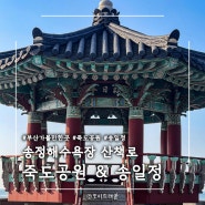 부산 일출명소 해안산책로 추천 :: 죽도공원, 송일정