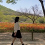 인천대공원 튤립명소 꽃전시회 온실 주말 나들이 주차장