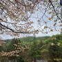 비 내리던 날의 서울현충원 풍경