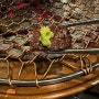 충정로 소고기 된장찌개 맛집 도마 중림동점 내돈내산 후기