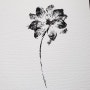 모노프린트 monoprint 델피늄 Dephinium