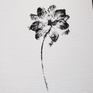 모노프린트 monoprint 델피늄 Dephinium