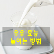 우유와 강황 마늘 조합 건강 효능 높이는 방법