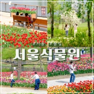 마곡 서울식물원 튤립 만개했어요