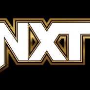[리포트] 2024년 4월 16일 WWE NXT 결과