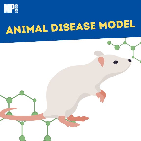 인간의 질병을 가진 동물 모델 구축 (Animal disease model) : 네이버 블로그