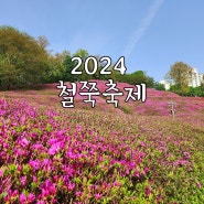 2024년 군포 철쭉축제 실시간 개화상태 초대가수
