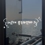 [여행] 해운대 블루라인파크/스카이캡슐 해변열차/청사포 정거장