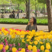 서울숲 튤립 피크닉 놀거리 주차장 4월 꽃구경