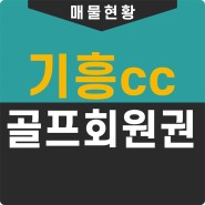 기흥cc 회원권 가격 그린피 혜택과 코스 정보