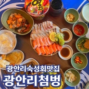 광안리 맛집 추천 : 광안리 숙성회 맛집 첨벙 주말 웨이팅 솔직후기