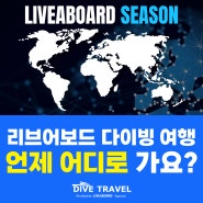[다이브트래블] 리브어보드 지역별 다이빙 시즌