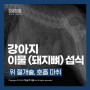 [SNC동물메디컬센터 CASE] 강아지 이물 (돼지뼈) 섭식, 위 절개술 치료 케이스_조진호 수의사