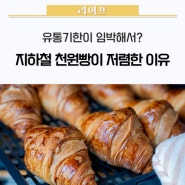 "탈세? 유통기한 임박?" 지하철 천원빵이 저렴한 '진짜' 이유 🍞 / 지하철1000원빵,지하철빵집