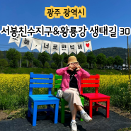 광주 광산구 유채꽃 서봉친수지구 황룡강생태길30