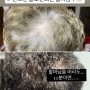 물염색하는법 : 머리감으면 염색끝! 샴푸염색약 : 두피자극없는 자연유래성분 새치 흰머리 염색샴푸