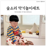 아기원목장난감 숲소리 악기놀이 18개월아기 어린이날선물로 추천