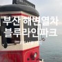 [부산여행] 해운대블루라인파크 해변열차 / 송정<->미포 왕복탑승 후기 !