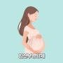 임산부영양제 종류 및 엽산 효능 복용법, 많은음식