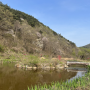 봄나들이 여행지 추천 : 보성 대원사 벚꽃길, 녹차밭