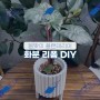 봄맞이 플랜테리어의 시작, 화분 리폼 DIY