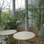 [세로정원] 300개의 식물이 숨쉬는 공간, 용인 모빌리티 뮤지엄 카페 꼼마 카페 (Feat.그린월 식물인테리어 플랜테리어)