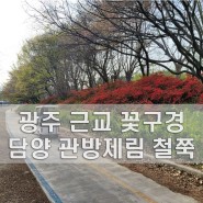 광주 근교 꽃구경 담양 관방제림 철쭉 전남 여행 추천