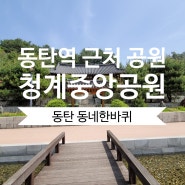 동탄역 근처 청계중앙공원 봄나들이 튤립 철쭉 보러 동탄 봄 소풍가요!