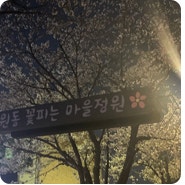 밤에 보아야 더 아름다운 🌸원동 꽃피는 마을정원🌸 <시민홍보단 홍채림>