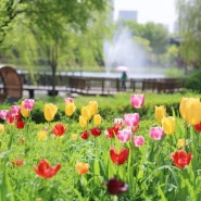 대전 한밭수목원 4월 꽃구경 가볼만한곳 피크닉 가기 좋아