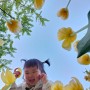 김해 연지공원 : 4월 아이와 가볼만한 곳 튤립 정원