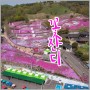 산청꽃잔디축제 생초국제조각공원 꽃잔디 만개 경남 4월 가볼만한곳