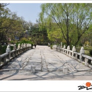 서울 봄 나들이 하기 좋은 곳. 신록 번지는 장충단공원.