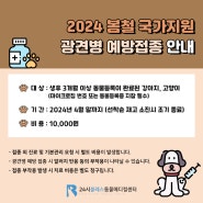 2024 용인 국가지원 광견병 예방 접종 안내