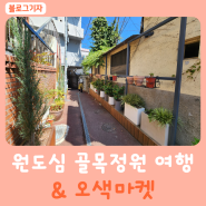 울산 성남동 오색마켓 & 원도심 골목정원여행