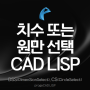 프로지캐드 치수 또는 원만 선택 CAD LISP (DSS, CS)