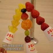 유성탕후루 '달콤왕가탕후루 대전봉명점', 얇고 바삭한 설탕 코팅