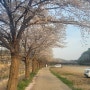 2024 봄꽃놀이 7 / 밤고지마을 + 율곡습지공원