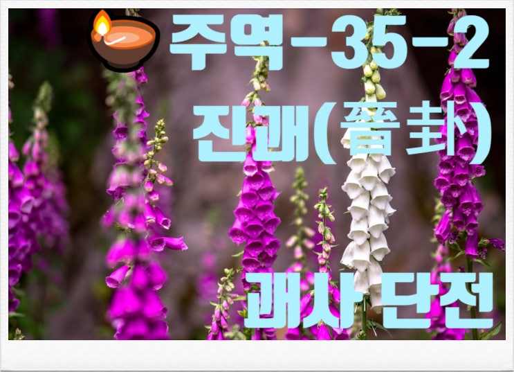 🪔주역-35-2 진괘(晉卦) 괘사 단전-순응과 유순의 미학 : 네이버 블로그