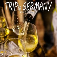 독일 비스바덴 여행 라인가우 와인축제